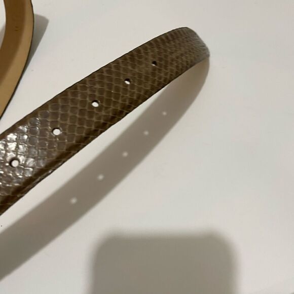 New Carlisle belt snake skin  beige leather buckle jeweled main image 9